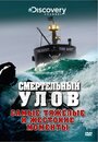 Discovery. Смертельный улов (2005) скачать бесплатно в хорошем качестве без регистрации и смс 1080p