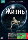 BBC: Жизнь (2009) скачать бесплатно в хорошем качестве без регистрации и смс 1080p