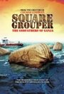 Square Grouper (2011) трейлер фильма в хорошем качестве 1080p