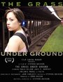 The Grass Under Ground (2008) скачать бесплатно в хорошем качестве без регистрации и смс 1080p