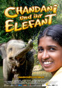 Смотреть «Chandani: The Daughter of the Elephant Whisperer» онлайн фильм в хорошем качестве