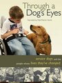 Through a Dog's Eyes (2010) кадры фильма смотреть онлайн в хорошем качестве