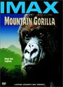 Mountain Gorilla (1992) трейлер фильма в хорошем качестве 1080p