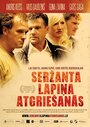 Возвращение сержанта Лапиньша (2010) скачать бесплатно в хорошем качестве без регистрации и смс 1080p