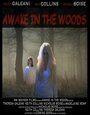 Awake in the Woods