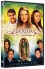 Роза Гваделупе (2008) скачать бесплатно в хорошем качестве без регистрации и смс 1080p