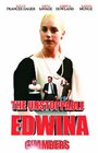 Смотреть «The Unstoppable Edwina Chambers» онлайн фильм в хорошем качестве