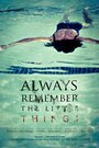 Смотреть «Always Remember the Little Things» онлайн фильм в хорошем качестве