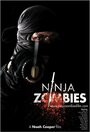 Ninja Zombies (2011) скачать бесплатно в хорошем качестве без регистрации и смс 1080p