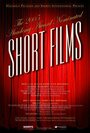 Смотреть «2005 Academy Award Nominated Short Films» онлайн в хорошем качестве