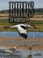 Birds of Norfolk: A Bird Watchers Dream (2010) скачать бесплатно в хорошем качестве без регистрации и смс 1080p