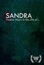 Смотреть «Sandra: Twelve Hours in the Life of...» онлайн фильм в хорошем качестве