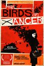 The Birds of Anger