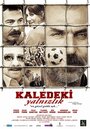 В замке одиночества (2011) скачать бесплатно в хорошем качестве без регистрации и смс 1080p