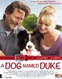 Duke (2012) кадры фильма смотреть онлайн в хорошем качестве