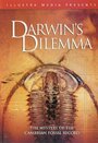 Darwin's Dilemma (2009) скачать бесплатно в хорошем качестве без регистрации и смс 1080p