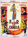 Flor de canela