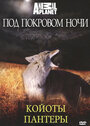 Под покровом ночи (2009) трейлер фильма в хорошем качестве 1080p