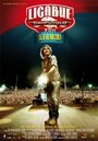 Ligabue Campovolo - il film 3D (2011) трейлер фильма в хорошем качестве 1080p