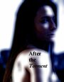 After the Torment (2011) трейлер фильма в хорошем качестве 1080p