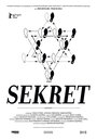 Секрет (2012) скачать бесплатно в хорошем качестве без регистрации и смс 1080p