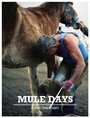 Mule Days (2013) трейлер фильма в хорошем качестве 1080p