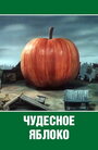 Чудесное яблоко (1988) кадры фильма смотреть онлайн в хорошем качестве