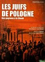 Les Juifs de Pologne, des pogroms à la Shoah