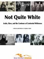 Not Quite White: Arabs, Slavs, and the Contours of Contested Whiteness