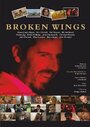 Broken Wings (2011) скачать бесплатно в хорошем качестве без регистрации и смс 1080p