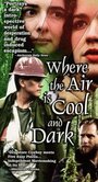 Where the Air Is Cool and Dark