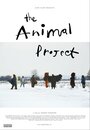 The Animal Project