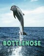 Bottlenose