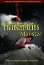 Frankenstein's Monster (2014) скачать бесплатно в хорошем качестве без регистрации и смс 1080p