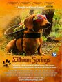 Lithium Springs (2004) кадры фильма смотреть онлайн в хорошем качестве