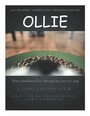 Ollie (2013) скачать бесплатно в хорошем качестве без регистрации и смс 1080p