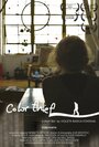 Color Thief (2013) скачать бесплатно в хорошем качестве без регистрации и смс 1080p