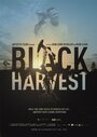 Black Harvest (2014) трейлер фильма в хорошем качестве 1080p