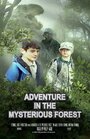 Adventure in the Mysterious Forest (2005) скачать бесплатно в хорошем качестве без регистрации и смс 1080p