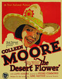 The Desert Flower (1925) трейлер фильма в хорошем качестве 1080p