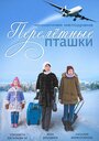 Перелетные пташки (2014) кадры фильма смотреть онлайн в хорошем качестве