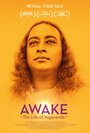 Awake: The Life of Yogananda (2014) скачать бесплатно в хорошем качестве без регистрации и смс 1080p