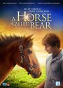 A Horse Called Bear