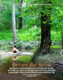 Before the Snow (2015) скачать бесплатно в хорошем качестве без регистрации и смс 1080p