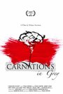 Смотреть «Carnations in Grey» онлайн фильм в хорошем качестве