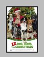 12 Dog Days of Christmas (2014) кадры фильма смотреть онлайн в хорошем качестве