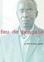 Feu de Bengale (2014) трейлер фильма в хорошем качестве 1080p