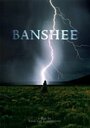 Смотреть «Banshee» онлайн фильм в хорошем качестве