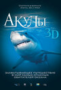 Акулы 3D