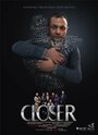 Closer (2015) скачать бесплатно в хорошем качестве без регистрации и смс 1080p